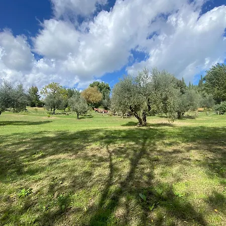 Pozzo Antico Morlupo